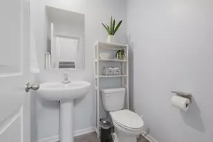 217 Goldenrod Dr, Elgin, IL 60124 - Photo 19