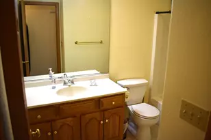 106 Chickasaw Ln, Loda, IL 60948 - Photo 21