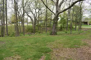 106 Chickasaw Ln, Loda, IL 60948 - Photo 29