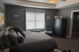 735 Peacock Pl, Manteno, IL 60950 - Photo 11