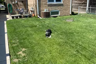 11419 S Fairfield Ave, Chicago, IL 60655 - Photo 15