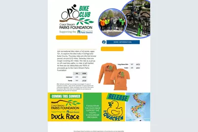 1112 Woodlake Drive, Carol Stream, IL 60188 - Photo 23