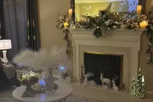 225 Lake Blvd, Buffalo Grove, IL 60089 - Photo 15