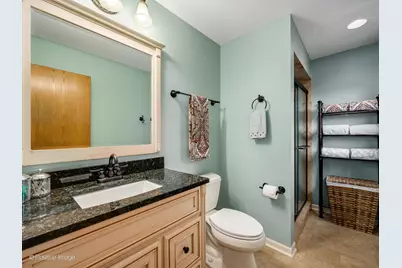 9716 S Kingsbury Court, Palos Hills, IL 60465 - Photo 17