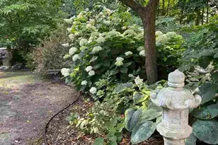 635 Kingsbury Ct, Batavia, IL 60510 - Photo 39