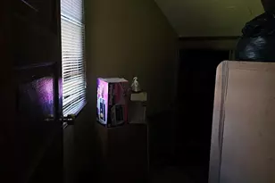 12024 S Wallace St, Chicago, IL 60628 - Photo 19