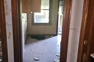 12024 S Wallace St, Chicago, IL 60628 - Photo 49