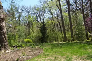 1301 S Batavia Ave, Geneva, IL 60134 - Photo 5