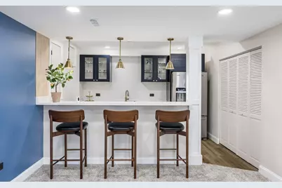 908 Blue Ridge Drive, Streamwood, IL 60107 - Photo 37