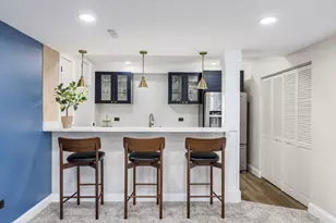 908 Blue Ridge Dr, Streamwood, IL 60107 - Photo 37