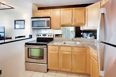 88 W Schiller Street #2903L, Chicago, IL 60610 - Photo 19