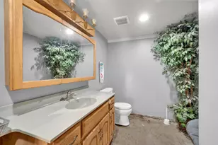 7245 W Dralle Rd, Monee, IL 60449 - Photo 33