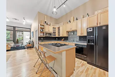 211 E Ohio Street #307, Chicago, IL 60611 - Photo 3