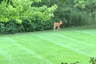 31470 N Reigate Ln, Libertyville, IL 60048 - Photo 79