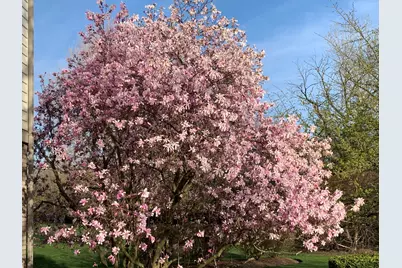 31470 N Reigate Lane, Libertyville, IL 60048 - Photo 77