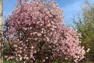 31470 N Reigate Ln, Libertyville, IL 60048 - Photo 77