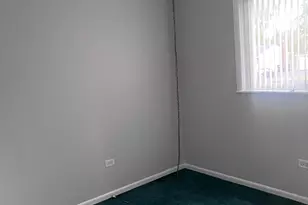 105 E Center St, Glenwood, IL 60425 - Photo 9