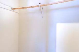 2407 S Albany Ave, Chicago, IL 60623 - Photo 9