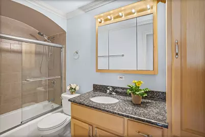 4931 N East River Road #2A, Norridge, IL 60706 - Photo 9