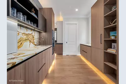 430 N Adams Street, Hinsdale, IL 60521 - Photo 23