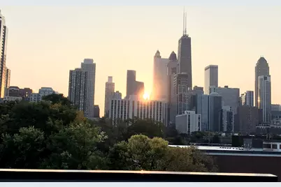 437 W Hobbie Street, Chicago, IL 60610 - Photo 31