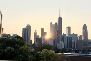 437 W Hobbie St, Chicago, IL 60610 - Photo 31