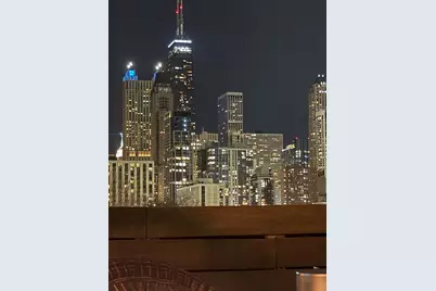 437 W Hobbie Street, Chicago, IL 60610 - Photo 33