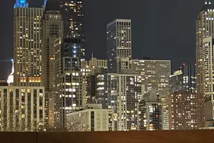 437 W Hobbie St, Chicago, IL 60610 - Photo 33