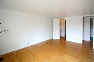 16 E Old Willow Rd, Prospect Heights, IL 60070 - Photo 17