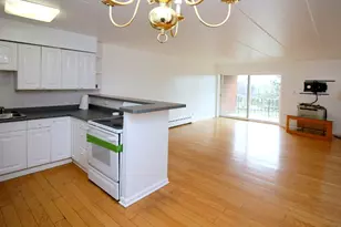 16 E Old Willow Rd, Prospect Heights, IL 60070 - Photo 11