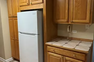 9520 Mayfield Ave, Oak Lawn, IL 60453 - Photo 9