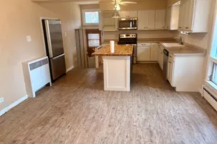 20632 Hellenic Dr, Olympia Fields, IL 60461 - Photo 3