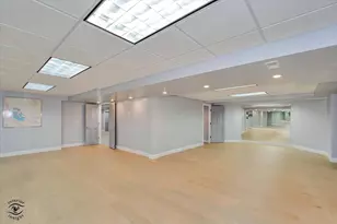 10427 Penny Ct, Frankfort, IL 60423 - Photo 47