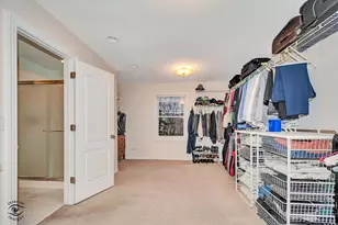 10427 Penny Ct, Frankfort, IL 60423 - Photo 37