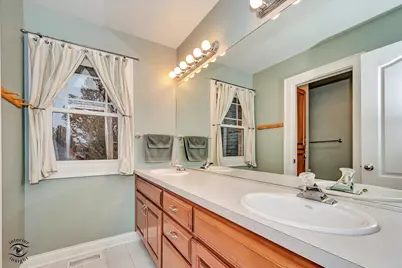 10427 Penny Court, Frankfort, IL 60423 - Photo 41