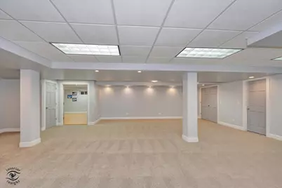 10427 Penny Court, Frankfort, IL 60423 - Photo 43