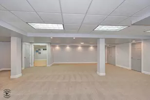 10427 Penny Ct, Frankfort, IL 60423 - Photo 43