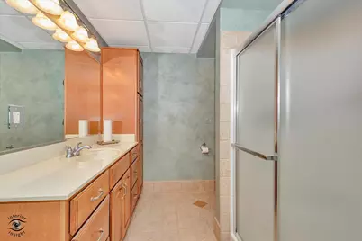 10427 Penny Court, Frankfort, IL 60423 - Photo 49