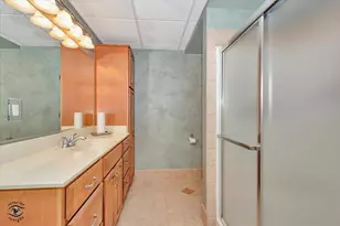 10427 Penny Ct, Frankfort, IL 60423 - Photo 49