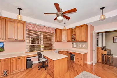 10427 Penny Court, Frankfort, IL 60423 - Photo 25