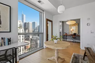 303 W Ohio St, Chicago, IL 60654 - Photo 15