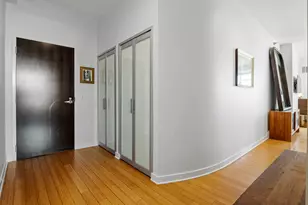 303 W Ohio St, Chicago, IL 60654 - Photo 21