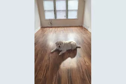 [Address not provided], Chicago, IL 60646 - Photo 3