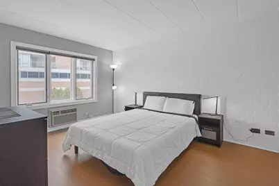 659 S Des Plaines River Road #2A, Des Plaines, IL 60016 - Photo 21