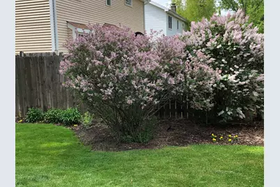 1641 Lois Ann Lane, Naperville, IL 60563 - Photo 55