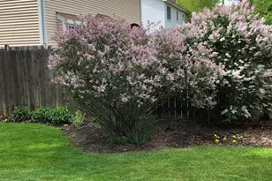 1641 Lois Ann Ln, Naperville, IL 60563 - Photo 55