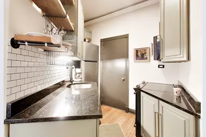 20 E Goethe Street #501, Chicago, IL 60610 - Photo 11