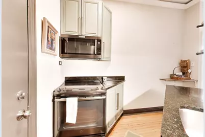 20 E Goethe Street #501, Chicago, IL 60610 - Photo 13