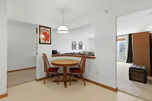 10 S Wille St, Mount Prospect, IL 60056 - Photo 9