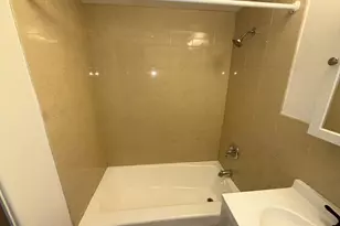 9595 Maple Dr, Rosemont, IL 60018 - Photo 11